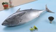 Benefits of Tuna (Image via Google)